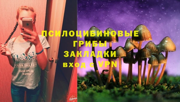 дурь Михайловка