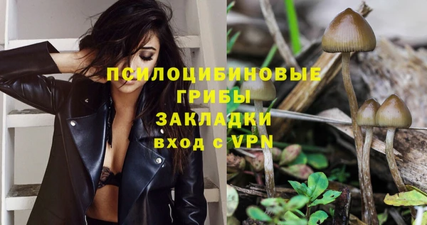 дурь Михайловка
